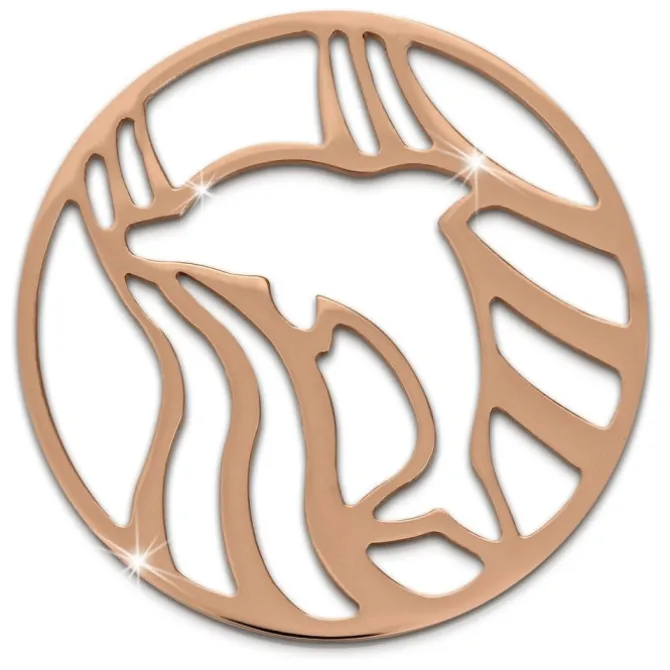 Amello Edelstahl Coin Delfin rosegold für Coinsfassung Stahlschmuck ESC521E