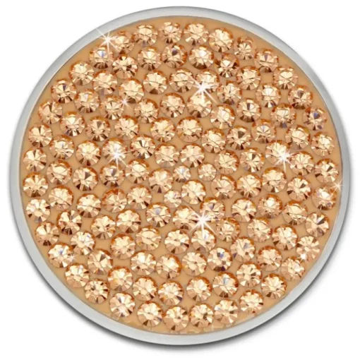 Amello Edelstahl Coin Zirkonia rose für Coinsfassung Edelstahlschmuck ESC301E