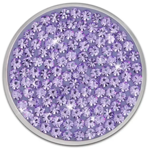 Amello Edelstahl Coin Zirkonia lila für Coinsfassung Edelstahlschmuck ESC301V