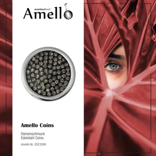 Amello Edelstahl Coin Zirkonia grau 25mm für Coinsfassung Schmuck ESC350K