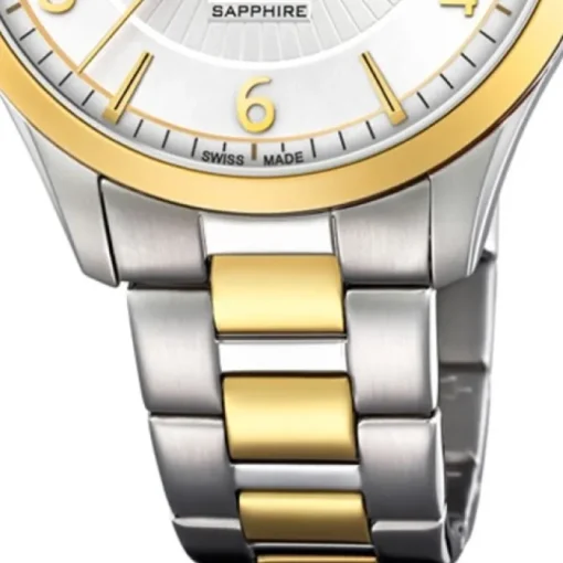 Candino Herren-Armbanduhr Edelstahl silber gold C4631/1 Quarz Klassisch UC4631/1