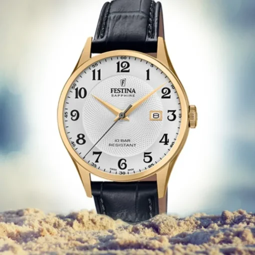 Festina Herren Armbanduhr Swiss Made F20010/1 Quarz Leder schwarz UF20010/1
