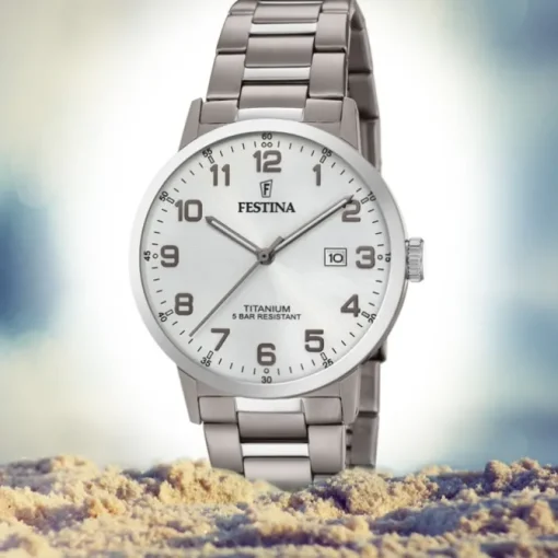 Festina Herren Armbanduhr Klassik F20435/1 Quarz Titan silber UF20435/1