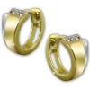 GoldDream Creole Bicolor Zirkonia Ohrring 333 Gold Echtschmuck GDO5101T