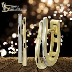 GoldDream Creole Wellen zweifarbig Ohrring 333 Gold Echtschmuck GDO5662T