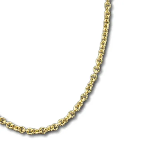GoldDream Damen Colliers Halskette 50cm Gelbgold 8 Karat GDKB00850Y