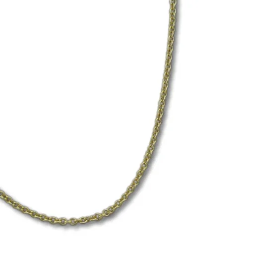 GoldDream Damen Colliers Halskette 42cm Gelbgold 8 Karat GDKB00742K