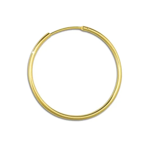 GoldDream Gold Creole 32mm Ohrring 333er Gelbgold Echtschmuck GDO0033Y