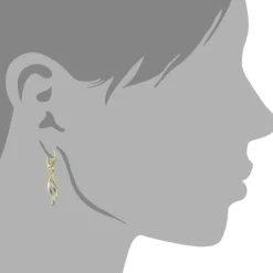 GoldDream Ohrhänger Wellen Zirkonia weiß Ohrring 333 Gold Echtschmuck GDO5163Y