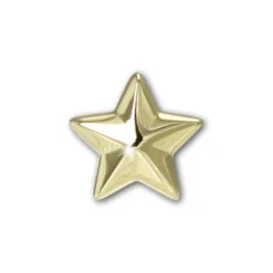 GoldDream Ohrstecker Star Ohrring 333er Gold Echtschmuck GDO5704Y