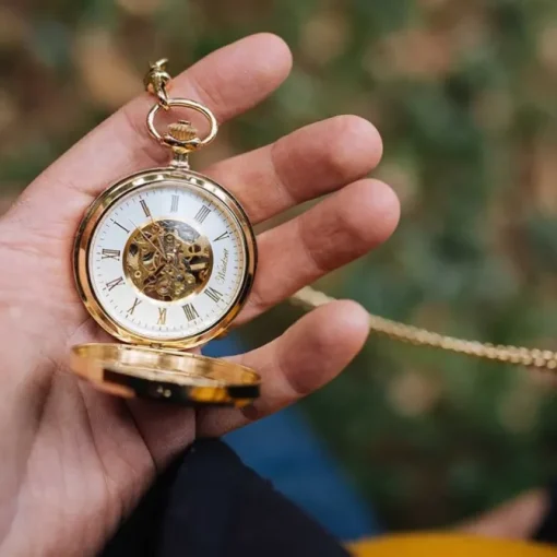 Waidzeit Herren Taschenuhr Edelstahl vergoldet mit Uhrenkette UWAFR01